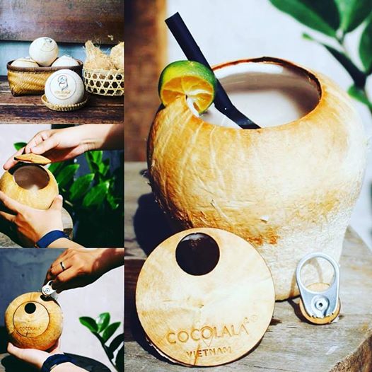 CƠ HỘI MỚI CHO NGƯỜI NÔNG DÂN TRỒNG DỪA XIÊM BẾN TRE